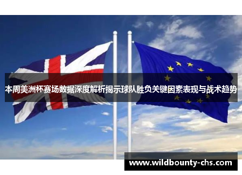 本周美洲杯赛场数据深度解析揭示球队胜负关键因素表现与战术趋势