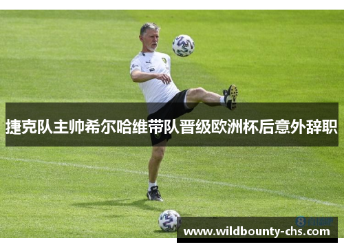 捷克队主帅希尔哈维带队晋级欧洲杯后意外辞职