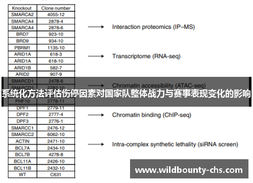 系统化方法评估伤停因素对国家队整体战力与赛事表现变化的影响 系统化方法评估伤停因素对国家队整体战力与赛事表现变化的影响